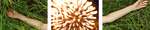 Feuerwerk mit Armen Feuerwerk mit Armen